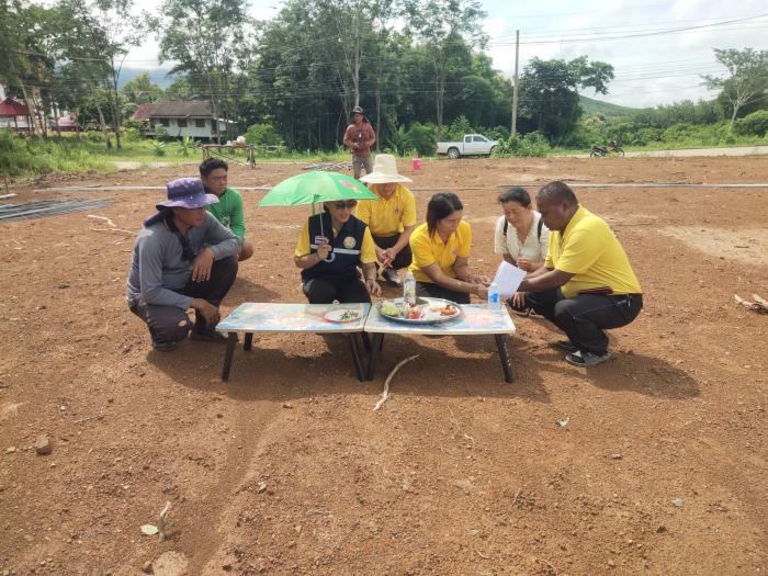 องค์การบริหารส่วนตำบลห้วยพิชัย ดำเนิน...